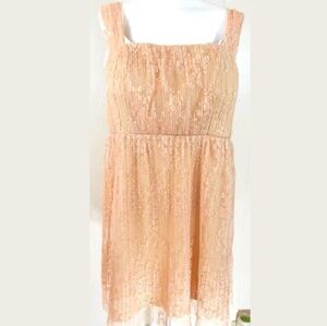 Forever 21 Plus Blush Lace Pleated Dress